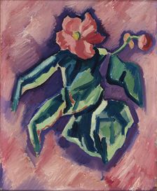 Pink Begonias, 1928-1929. Creator: Marsden Hartley