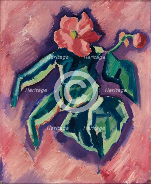 Pink Begonias, 1928-1929. Creator: Marsden Hartley.