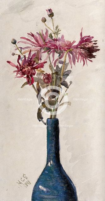 Pink flowers, possibly chrysanthemums, arranged in a bottle, 1898. Creator: Marie Stopes.