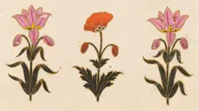 Pink lilies and red poppy motif, Folio from the Small Clive Album, Dated 1674-1675. Creator: Unknown