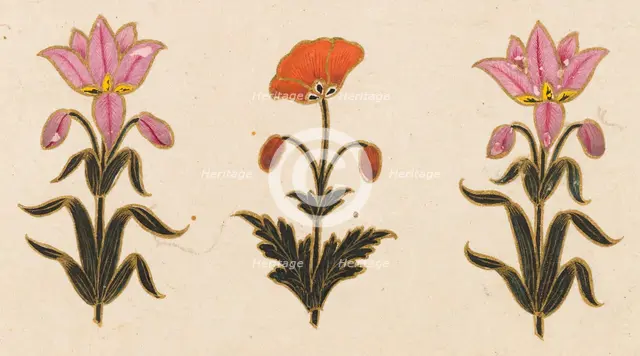 Pink lilies and red poppy motif, Folio from the Small Clive Album, Dated 1674-1675. Creator: Unknown.