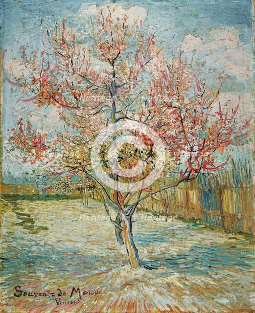Pink peach trees ("Souvenir de Mauve") , 1888. Creator: Gogh, Vincent, van (1853-1890).