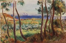 Pins aux environs de Cagnes, c. 1910. Creator: Renoir, Pierre Auguste (1841-1919)