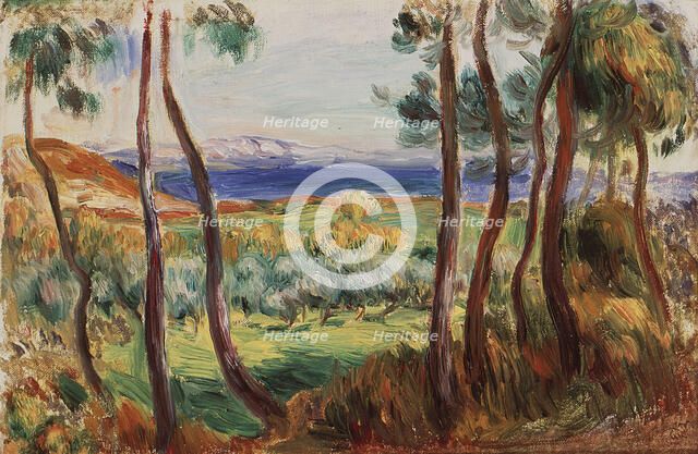 Pins aux environs de Cagnes, c. 1910. Creator: Renoir, Pierre Auguste (1841-1919).