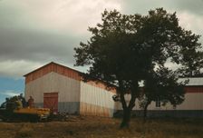 Pinto bean warehouse, Pie Town, New Mexico, 1940. Creator: Russell Lee