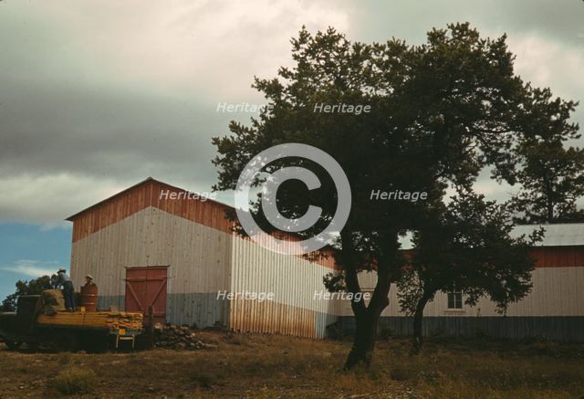 Pinto bean warehouse, Pie Town, New Mexico, 1940. Creator: Russell Lee.