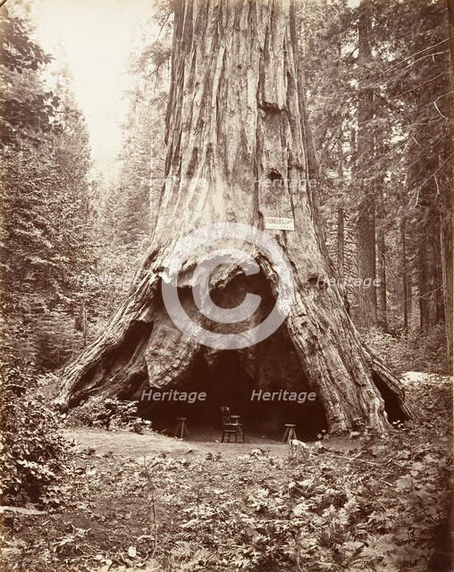 Pioneer's Cabin, 1865-66, printed ca. 1876. Creator: Carleton Emmons Watkins.
