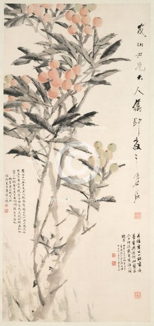 Pipa (Loquats), c. 1888-89. Creator: Xugu (Chinese, 1823-1896).