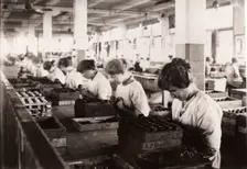 Piping whipped cream walnuts, Rowntree factory, York, Yorkshire, 1920