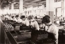 Piping whipped cream walnuts, Rowntree factory, York, Yorkshire, 1920