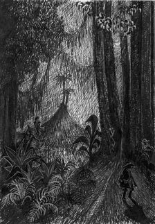 Pirate in the rainforest, 1953. Creator: Shirley Markham
