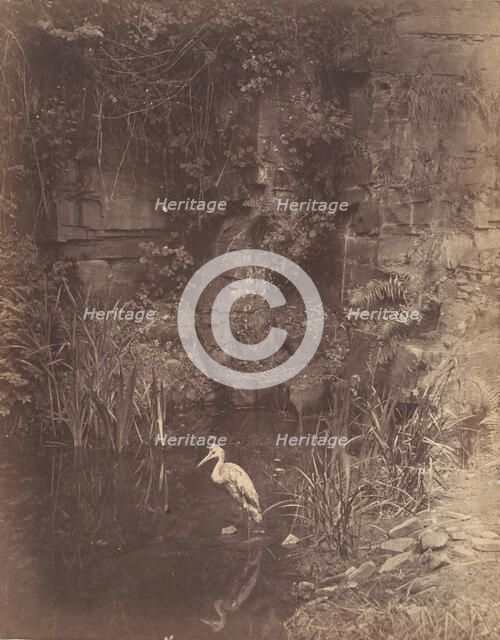 Piscator, No. 2, 1856. Creator: John Dillwyn Llewelyn.