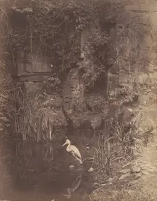 Piscator, No. 2, 1856. Creator: John Dillwyn Llewelyn