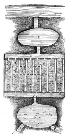 Pisciculture - ponds at home and abroad: salmon breeding-ponds, 1862. Creator: Unknown