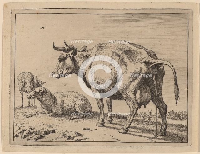 Pissing Cow, 1650. Creator: Paulus Potter.