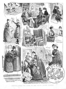 'Plucked Geese--The story of the Gobang Mining Company 1890. Creator: Unknown