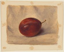 Plum, 1903. Creator: John Henry Hill