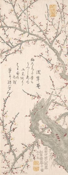 Plum Tree in Blossom, 1813. Creator: Kitao Shigemasa