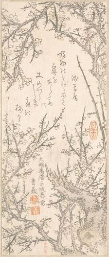 Plum Tree in Blossom, 1813. Creator: Kitao Shigemasa