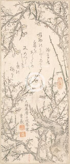 Plum Tree in Blossom, 1813. Creator: Kitao Shigemasa.