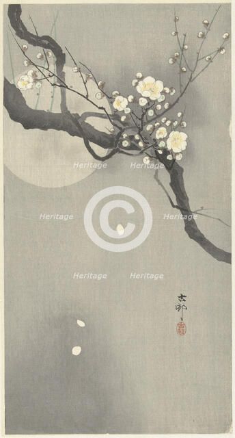 Plum blossom and full moon. Creator: Ohara, Koson (1877-1945).