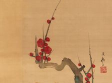 Plum blossom, c.1801. Creator: Sakai Hoitsu