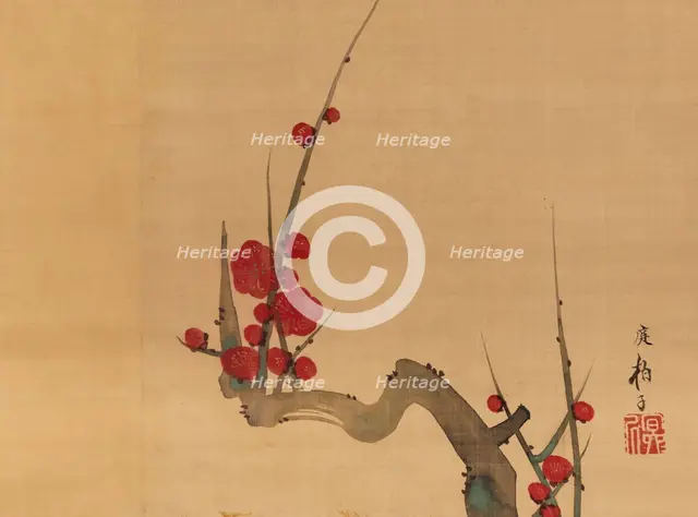 Plum blossom, c.1801. Creator: Sakai Hoitsu.