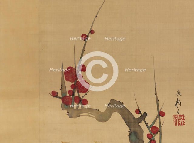 Plum blossom, c.1801. Creator: Sakai Hoitsu.