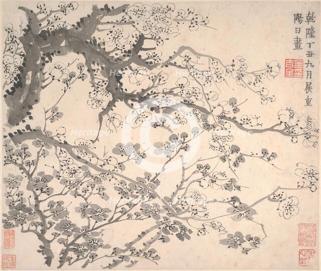 Plum Blossoms, dated 1757. Creator: Jin Nong.