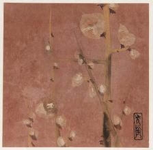 Plum blossoms, Edo period, late 16th-early 17th century. Creator: Hon'ami Kôetsu
