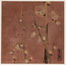 Plum blossoms, Edo period, late 16th-early 17th century. Creator: Hon'ami Kôetsu