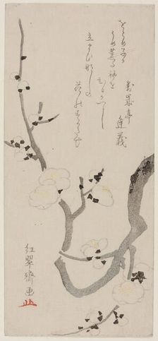 Plum Branch, Japan, late 18th century. Creator: Kitao Shigemasa