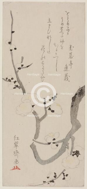 Plum Branch, Japan, late 18th century. Creator: Kitao Shigemasa.