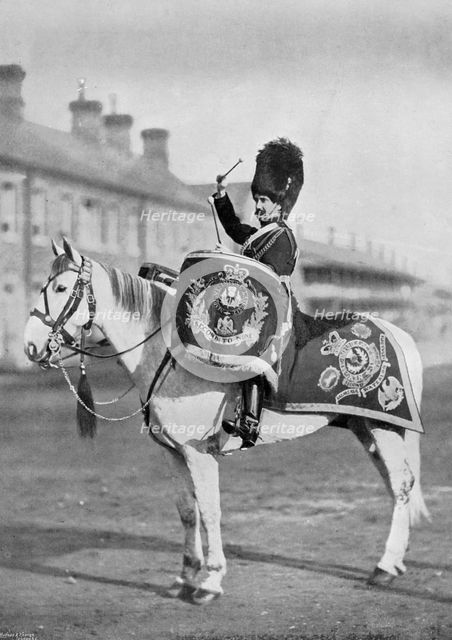'Plum Duff', the drum-horse of the Royal Scots Greys, 1896. Artist: Gregory & Co