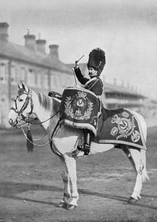 Plum Duff the drum-horse of the Royal Scots Greys, 1896. Artist: Gregory & Co
