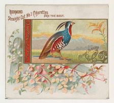 Plumed Partridge, from the Game Birds series (N40) for Allen & Ginter Cigarettes, 1888-90. Creator: Allen & Ginter