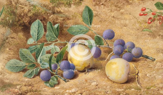Plums, 1870. Creator: John William Hill.