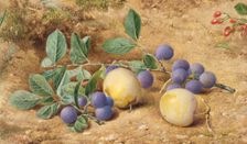 Plums, 1870. Creator: John William Hill