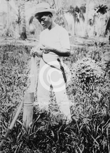 Placing buntal straw in vinegar, between c1915 and c1920. Creator: Bain News Service.
