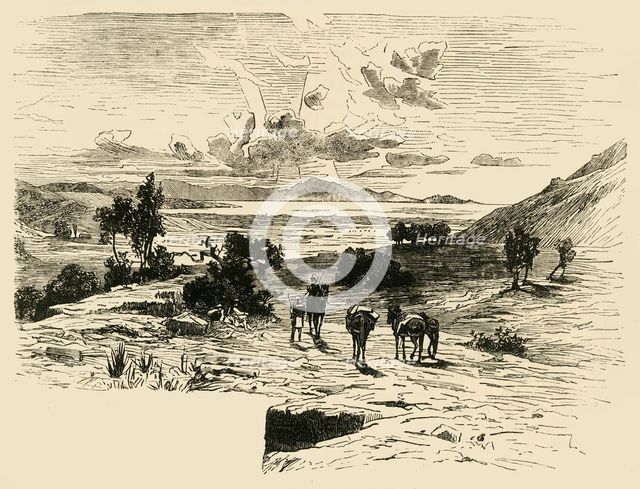 'Plain of Marathon', 1890.   Creator: Unknown.