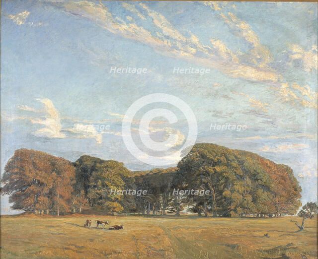 Plain of the Hermitage, 1904. Creator: Aksel M. Lassen.