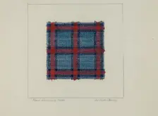 Plaid Homespun Cloth, c. 1937. Creator: Clyde L. Cheney