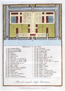 Plan of a Regular Coffee Plantation 1813. Artist: John Gabriel Stedman