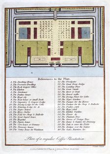Plan of a Regular Coffee Plantation 1813. Artist: John Gabriel Stedman