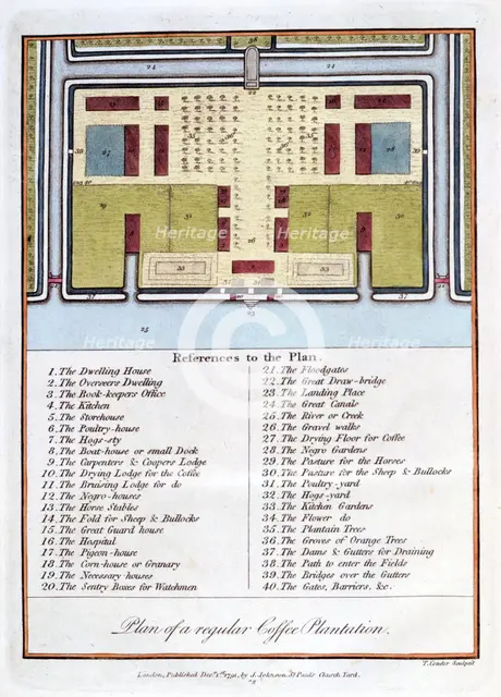 'Plan of a Regular Coffee Plantation', 1813. Artist: John Gabriel Stedman
