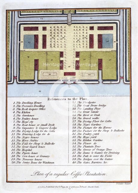 'Plan of a Regular Coffee Plantation', 1813. Artist: John Gabriel Stedman