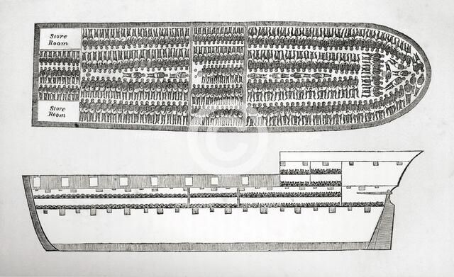 Plan showing how Slaves were transported on board a Slave Ship in the 18th Century (engraving). Creator: English School (18th Century).