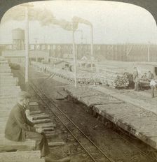 Plant and switchyards of a wood preserving company, Escanaba, Michigan, USA.Artist: Underwood & Underwood