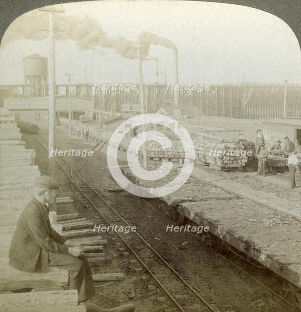 Plant and switchyards of a wood preserving company, Escanaba, Michigan, USA.Artist: Underwood & Underwood