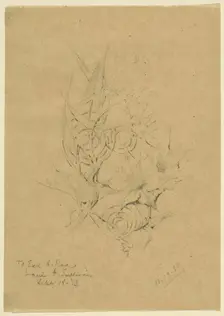 Plant Form Study, 1885. Creator: Louis Sullivan